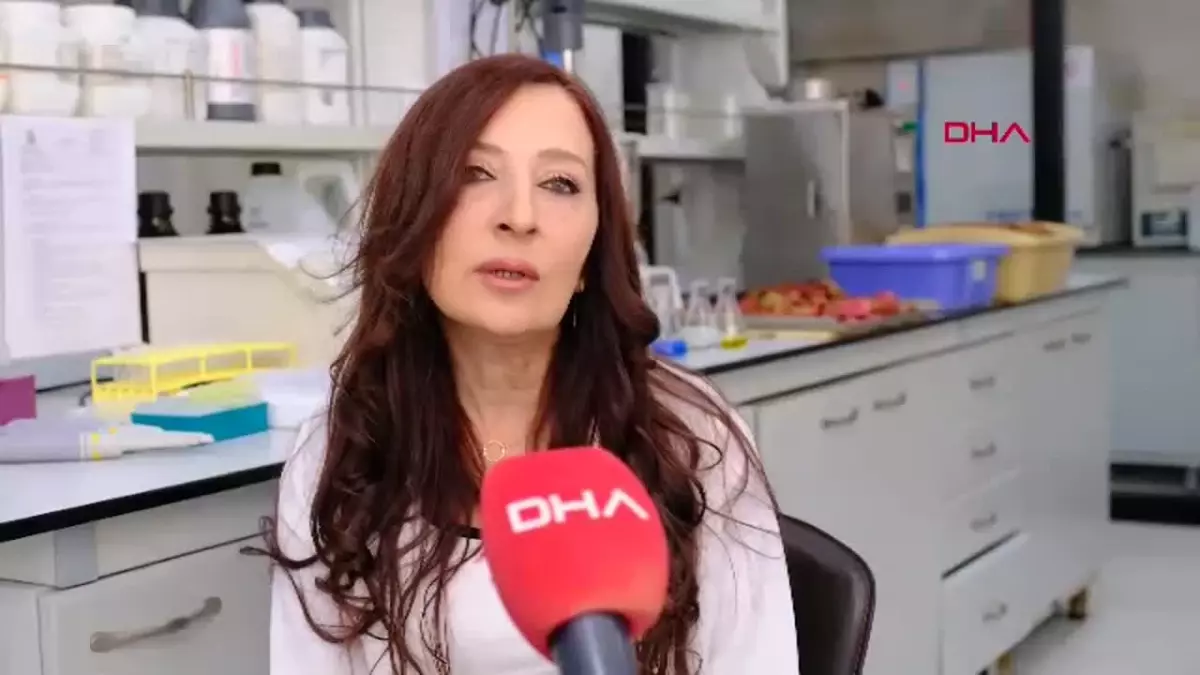 Köpek Mamalarında Nar Kabuğu İnovasyonu