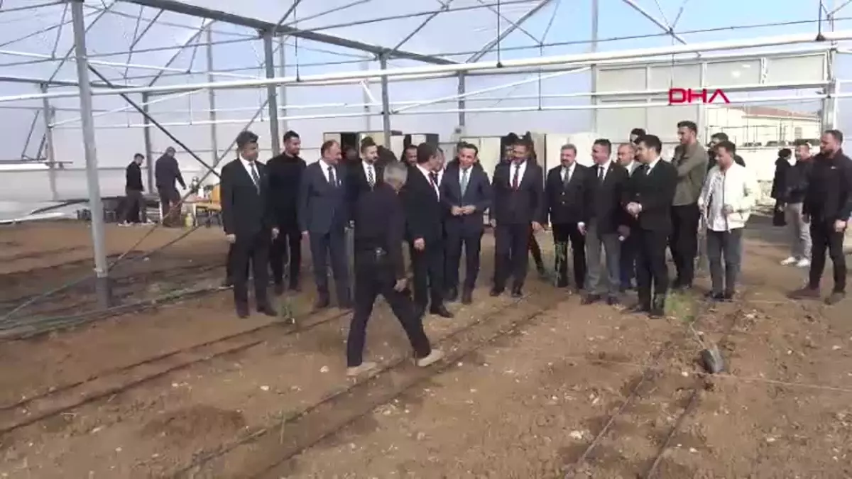 Silopi’de Tropikal Meyve Yetiştiriciliği Başladı