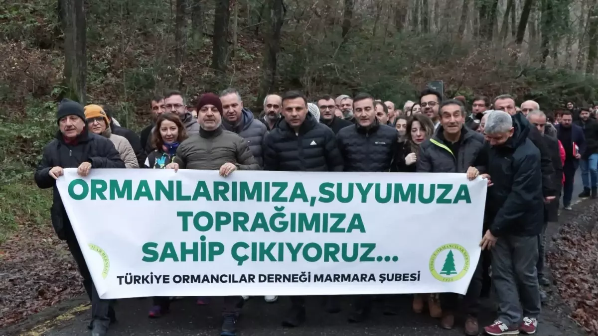 Belgrad Ormanı’nın İşletme Durumu Tartışmalı