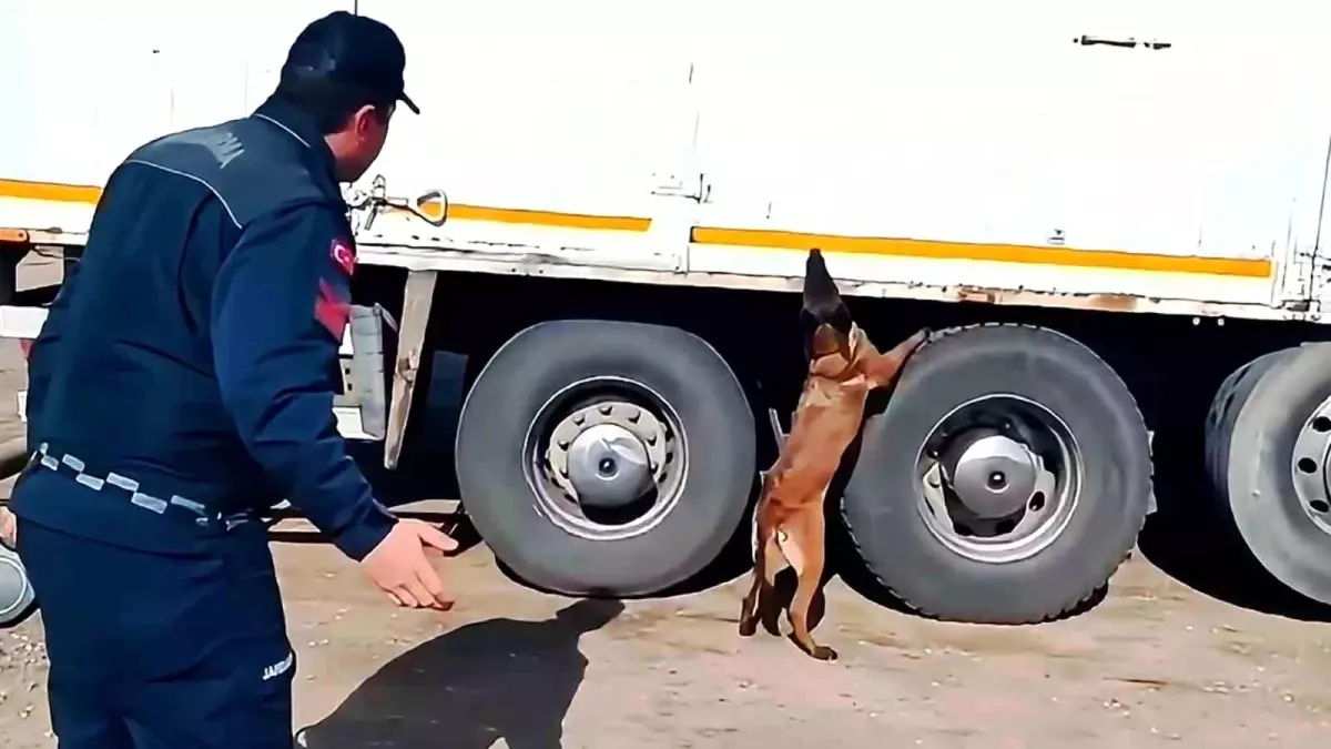 Kırıkkale’de Kaçak Tütün Operasyonu