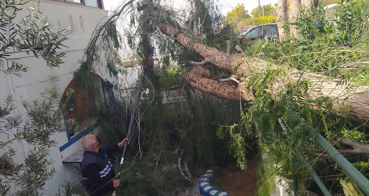 Bodrum’da tekneler suya gömüldü, ağaçlar devrildi